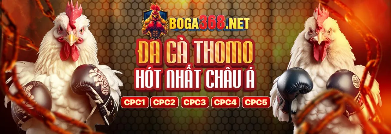 Thống kê và dự đoán tỷ lệ cược tại MMWin
