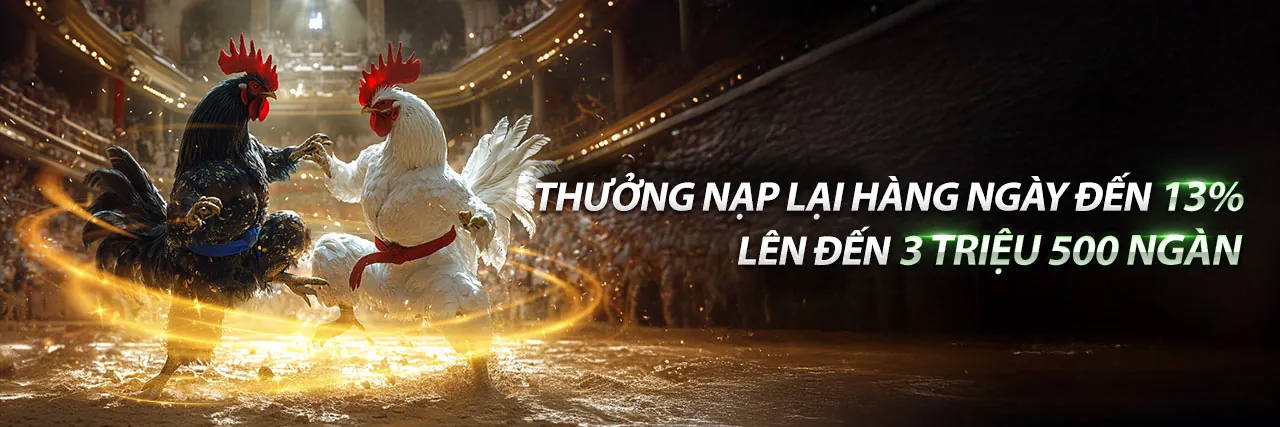 Đá gà trực tiếp đầy kịch tính tại mmwin link mới